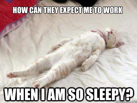 Exhausted Cat Meme