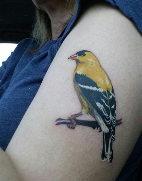 finch bird tattoo designs - crazyfacesfacepainting