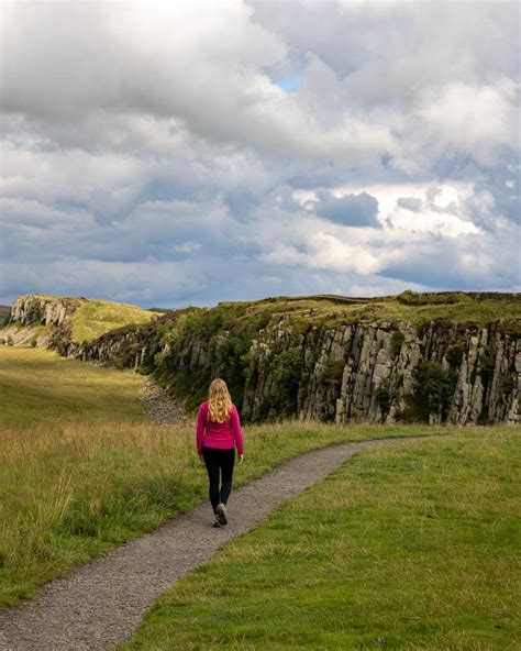 Sycamore Gap: Things to know before visiting & the shortest walk to get ...