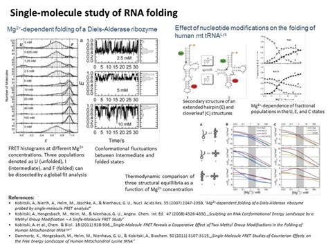 protein / RNA folding - Single-molecule study of folding and function ...