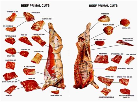 Meat Cuts - Durban Halaal Meats