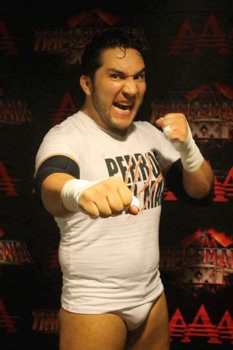 Perro Aguayo Jr | Perro aguayo, Hijo del perro aguayo, Lucha libre