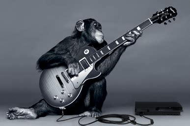 Monkey See, Monkey Play Guitar? • Play Guitar!