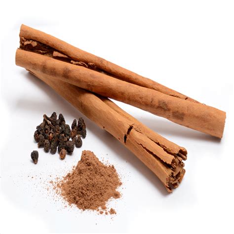 Saigon Cinnamon Growth Facts And Uses | Veggies Info