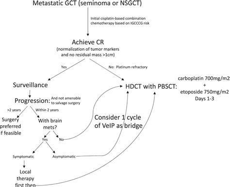 Algorithm for treatment of relapsed GCT at Indiana University ...