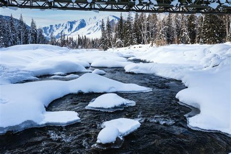 Photo of a River in Winter · Free Stock Photo