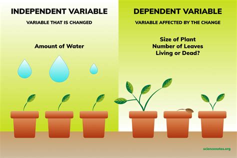 Independent and Dependent Variables Examples