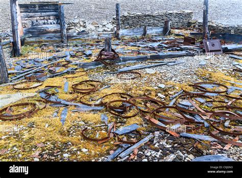 Remains of storehouse on Beechey Island in Canadian high arctic, built ...