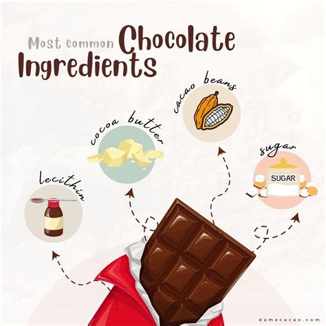 Complete Guide to The Ingredients In Chocolate | Dame Cacao