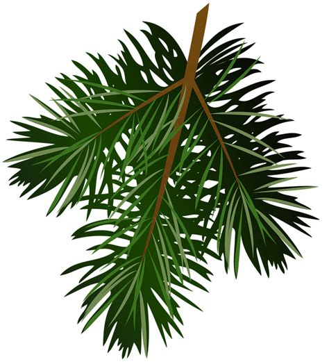 pine tree leaves art - Clip Art Library