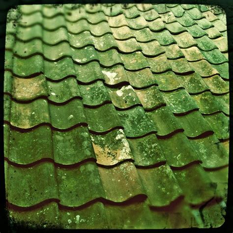 GREEN GREEN GREEN ... Roof tiles by Leo Reynolds, via Flickr Simple ...