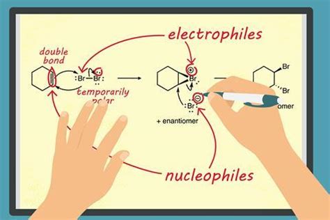 How to help students identify electrophiles and nucleophiles | News ...