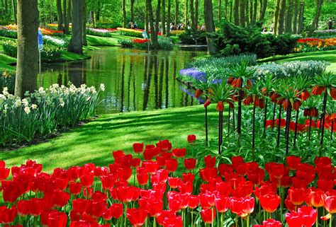 Keukenhof Park, Netherlands photo on Sunsurfer