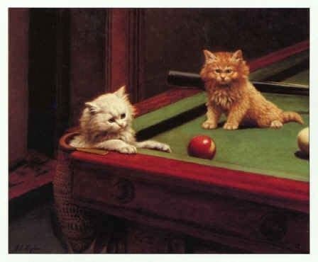 Cats playing pool | Funny cat pictures, Crazy cats, Kittens