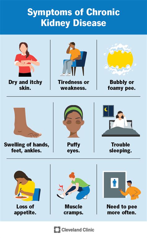 Chronic Kidney Disease (CKD): Symptoms & Treatment