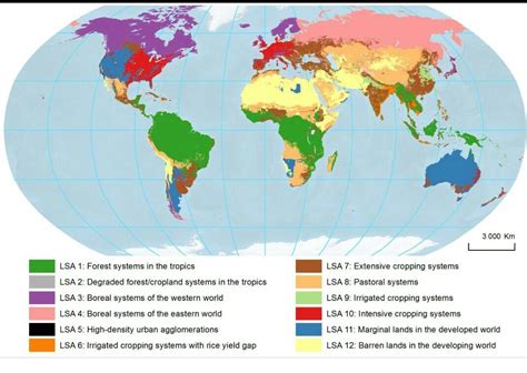 Tropical Evergreen Forest Map