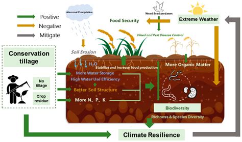 Conservation Tillage and Climate Resilience | Encyclopedia MDPI