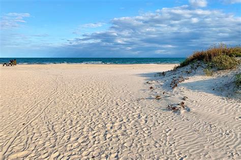 Are Dogs Allowed At The Beach In Corpus Christi Texas