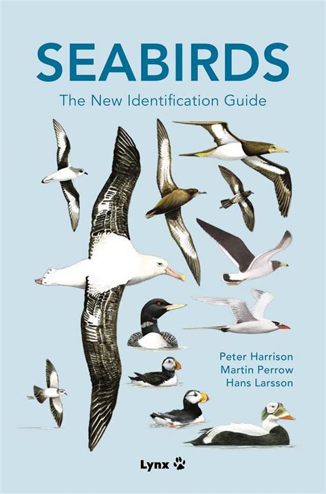 Seabirds: The New Identification Guide | NHBS Field Guides & Natural ...