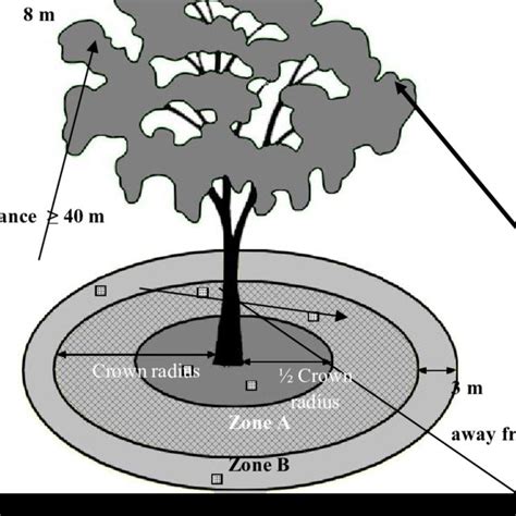 Rainfall pattern in 2007 in Nobéré (Burkina Faso). | Download ...