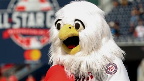 Mascot for Washington Nationals: What is it? | wusa9.com