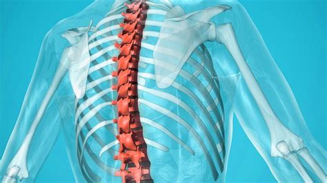 What Is Nonradiographic Axial Spondyloarthritis (nr-axSpA)? | Everyday ...