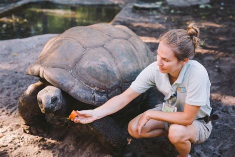 Lunch for the Animals at Jacksonville Zoo & Gardens | Edible Northeast ...