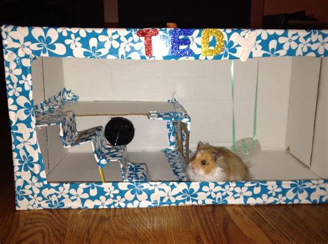 DIY hamster playground | Hamster, Box fan, Diy