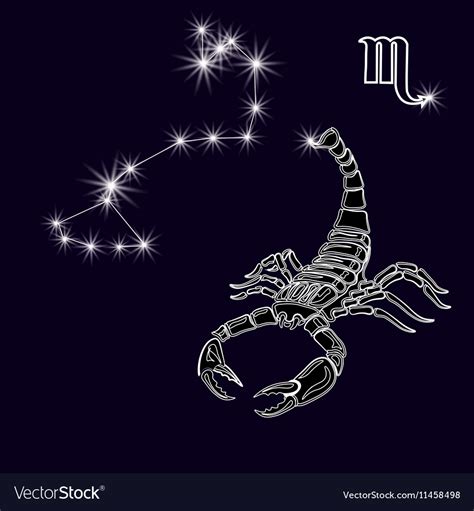 The constellation Scorpius White scorpion zodiac Vector Image