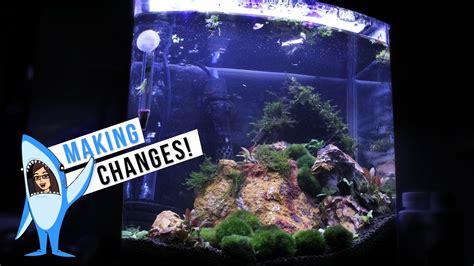 New Filter & Making Changes // SHRIMP TANK - YouTube