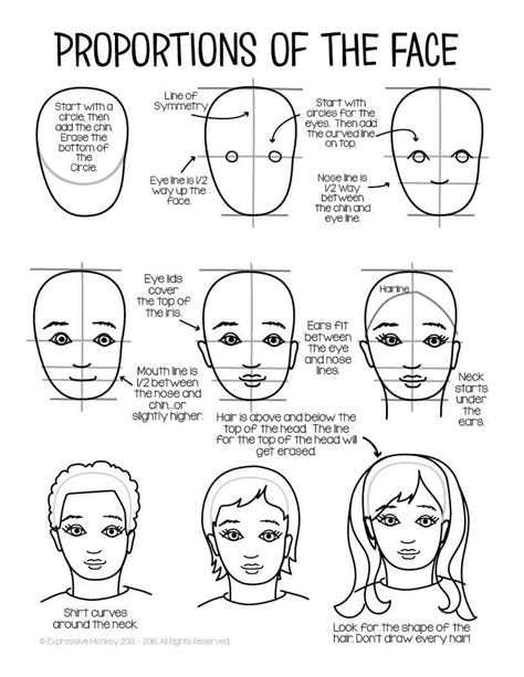 Facial Proportions Drawing Handout