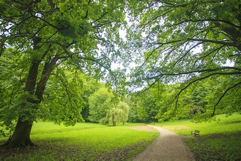 Maksimir Park | Zagreb, Croatia Attractions - Lonely Planet