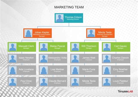 Free Organizational Chart Templates | Template Samples with Word Org ...