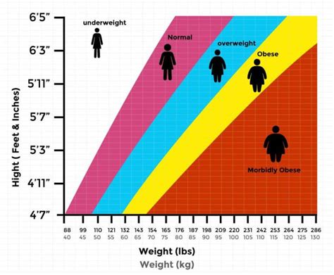 Bmi chart men lbs - PaulineRomans