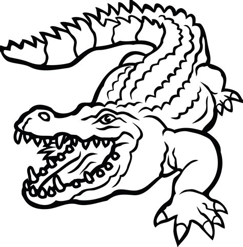 Collection of Alligator clipart | Free download best Alligator clipart ...