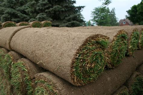 Fresh Sod Available - Fairgreen Sod Farms - Family Owned