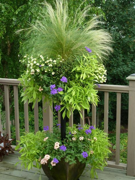 Gardening Tips For Beginners: Container Gardening