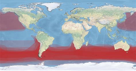 Albatross density map