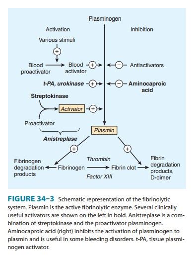 Basic Pharmacology of the Fibrinolytic Drugs