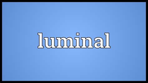 Luminal Meaning - YouTube