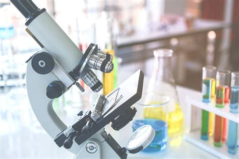 What Is a Parfocal Microscope? Pros, Cons and How It Works - Optics Mag