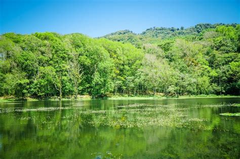 Premium Photo | Selva negra in matagalpa, lake and trees in the central ...