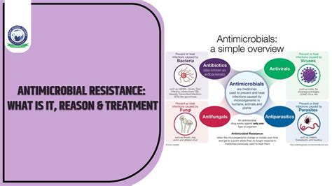 Antimicrobial Resistance: What Is It, Reason & Treatment | Khan Global ...