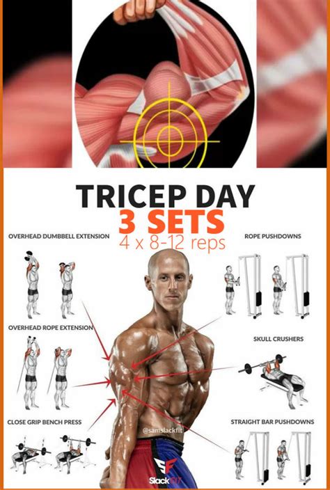 the-best-triceps-workout-of-all-time – Fitness Workouts & Exercises