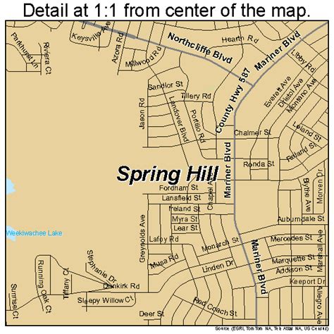 Spring Hill Florida Street Map 1268350