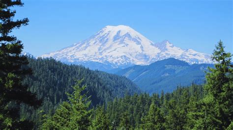 Gifford Pinchot National Forest - Discover Lewis County