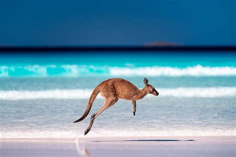 Australian Beaches