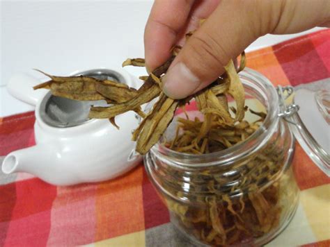 3 Burdock Root Recipes: How to Make Your Own Gobo Tea | Slism