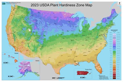 The USDA Reveals New Map of Plant Hardiness Zones for 2024