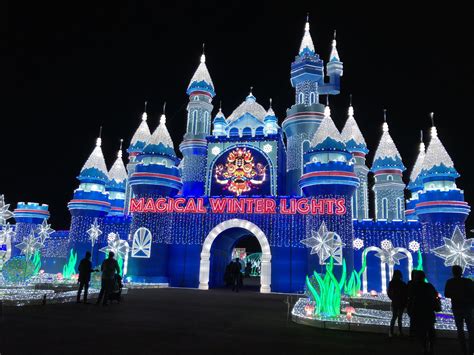 Truly “Magical Winter Lights” – Kathleen Maca